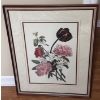 Image 1 : Print of Flowers 24.5 X 30, Framed Under Glass