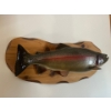 Image 3 : Rainbow trout wall mount Don Patrition Four Seasons Taxidermy 24” is the fish 27” wood mount