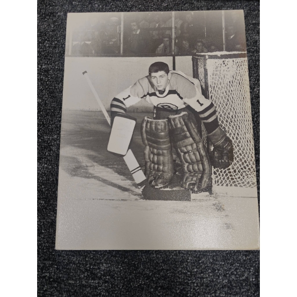 Hockey Memorabilia Photographs and Artwork