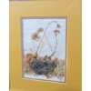 Image 2 : Untitled Dried and Dyed Wild Flowers, Artist: Mary Koonookoochook, Framed Under Glass 11.5 X 10 
