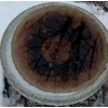 Image 2 : Traditional Concrete Birdbath ft. A Fluted Pedestal Base 25"Tall