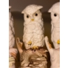 Image 4 : Cybis Trio of Owls 4.5 T 