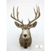 Image 5 : DEER - MULE