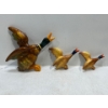 Chalk Birds, Set of Flying Mallards