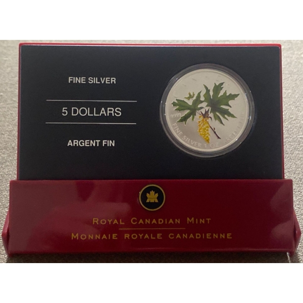 2005 One Ounce Fine Silver Coin