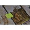Image 5 : Led Zeppelin IV **1971 PRESSING, SD7208, Pecko Duck**