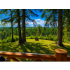Image 35 : Discover the perfect blend of peaceful country living and convenience on this stunning 10+ acres