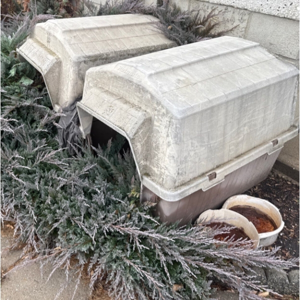 Two Large Outdoor Dog Houses