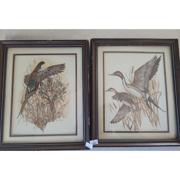 Waterfowl Framed Prints 