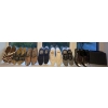 New & Used Ladies Footwear Collection Size 7.5-8 Sneakers Sandels Hiking 