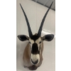 Image 1 : South African Oryx - Gemsbok 24W x 38D x 60T