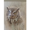 Image 3 : Robert Bateman-Grey Horned Owl Study-1987 #56-950 with Authenticity Papers 9X14