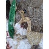 Image 2 : Outdoor Holiday Light-Up Decorations Includes: Snowman 79 T, Geese, Wreath 