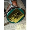 Image 8 : Decor Feat. Indigenous/Cultural Pottery, Bird Bone China, Stained Glass Birds,  Wood Sculptures