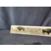 Image 2 : Laminated Foam Board with Bison Prairie Photograph 36 x 6