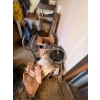 Image 6 : all contents in back room of shed, including vintage skates, chairs a number of bolts and screws. Lo