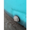 Image 6 : Farmer's Hot Tub -Cowboy Cool Down - Plastic Stock Tank Pool w/ Fitted Cover 