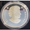Image 3 : 2015 $20 Maple of Prosperity Fine Silver Coin 31.39 Grams