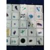 Image 3 : Tray of Unauthenticated Loose Gemstones
