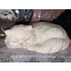 Image 4 : Cat Figurine and Decor Collection