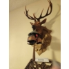 Image 2 : Plastic Wall-Mounted Deer Decor with Bells and Coppercraft Guild Oval Mirror