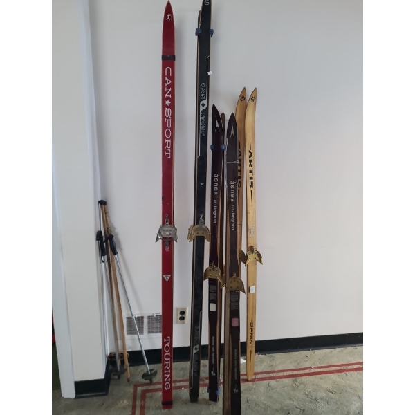 Vintage Skis- Tallest by Loipe Glide F 80 T, also Includes Touring, Asnes and Artis