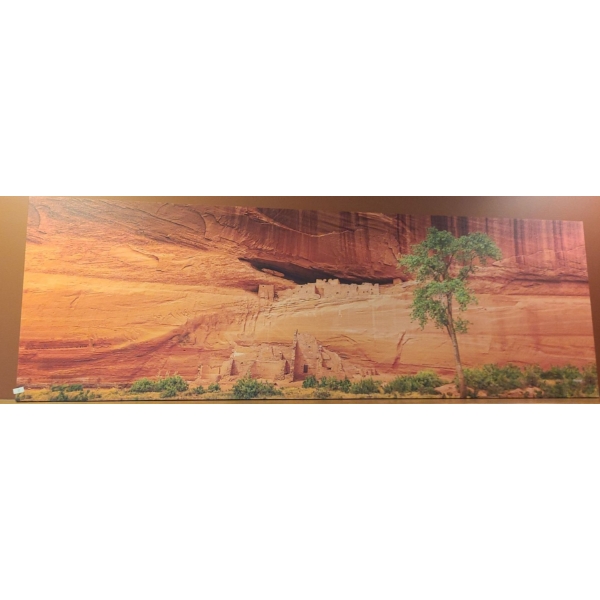 Print on Canvas of Abandoned Desert Dwellings and Tree by Fred Lord 60 X 20 