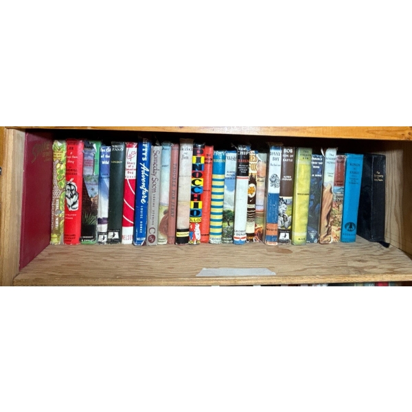 Collection Of Books