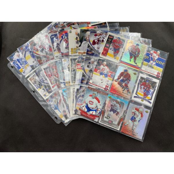 10 Pages of 2000 - 2008 Upper Deck, In the Game, and Pacific Hocky Cards