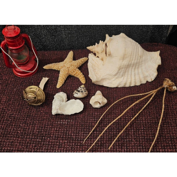Seashells, Starfish, Lantern Parts, and Red Lantern