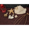 Image 1 : Seashells, Starfish, Lantern Parts, and Red Lantern