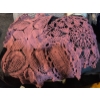 Image 6 : Two Comforters, Crochet Doilies, White Scarf, Games, and Clothing Hangers