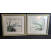 Image 1 : Two Asian Flower Prints, Framed Under Glass, 17 X 16