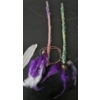 Image 5 : Various Ceremonial Smudging Materials