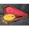Image 1 : Vintage Kobza, Plucked String Lute in Case. Great Condition!