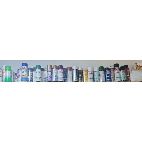 Contents of Garage Shelf- Spray Paint 