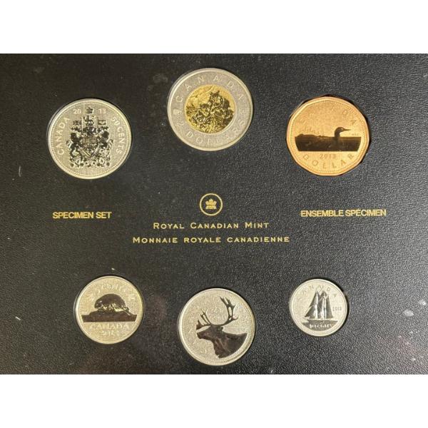 013 Specimen Set: Black Bear Cubs - Special Edition
