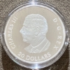 Image 3 : 2024 $20 American Goldfinch Fine Silver Coin 31.39 Grams