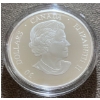 Image 4 : 2006 Chris Hadfield $30 Proof Coin 92.5% Silver 31.50 Grams