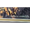 Image 3 : Headstones "Picture of Health" Autographed CD Sleeve, 10 x 15.5 Framed Under Glass