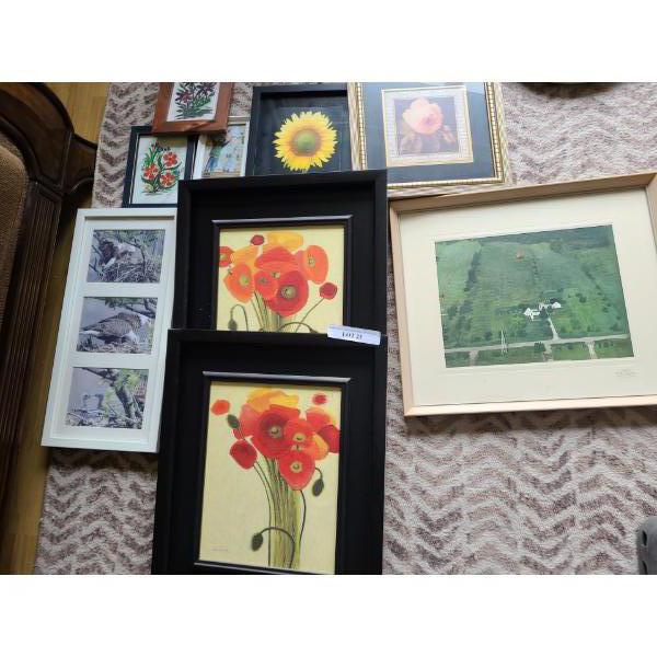Collection of Various Prints.  Poppies 17 1/2 w, 21 1/2 h