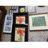 Collection of Various Prints.  Poppies 17 1/2 w, 21 1/2 h