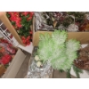 Image 4 : Captivating Faux Floral Winter Bouquet w/ Assorted Winter Greens 