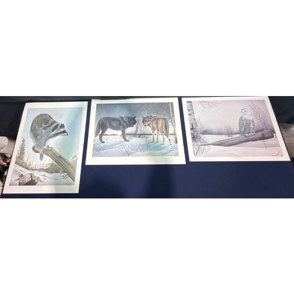 Alex Halliburton Lakeside Prowlers, Down From The Tundra, Spring Forager Prints