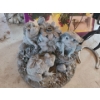 Image 3 : Garden Statues, Wall Brackets & more. Little Boy Statue 24 t