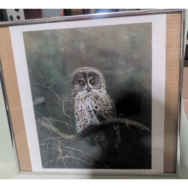Framed 1983 Print by David Lloyd Fisher Titled 'Great Grey Owl'