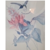 Image 3 : Prints "Jacobin" and "Purple Breasted Carib", Framed Under Glass 17.5 X 22 