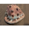 Image 2 : Aquatic Keepsakes: Shell Wreath, Porcelain Figurines, King Conch Shell