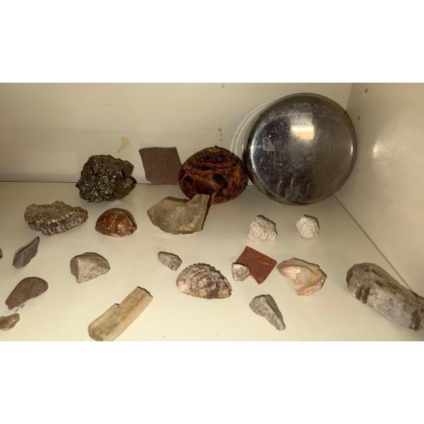 Fossils Geodes Rocks & More