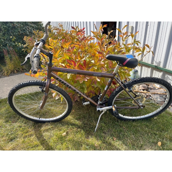 RALTO peak 21 speech Shimano gearing with aluminum front and rear tires mountain bike